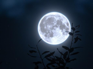 Сигналы GPS достигли Луны: как эксперимент с LuGRE начал новую главу в истории