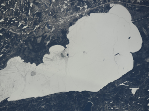 Космонавты с борта МКС наблюдают за лесными экосистемами