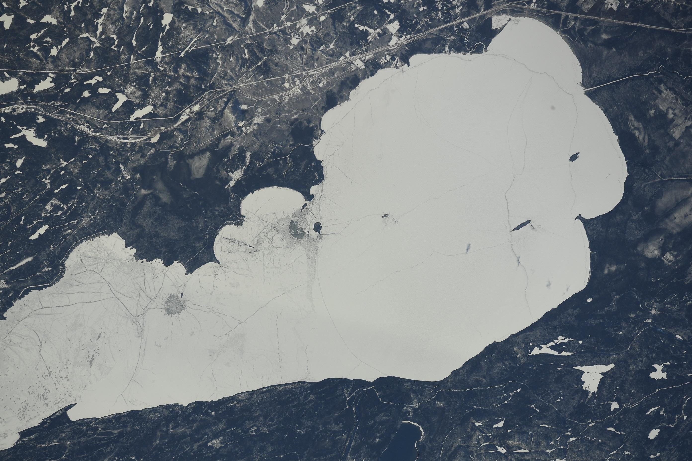 Космонавты с борта МКС наблюдают за лесными экосистемами