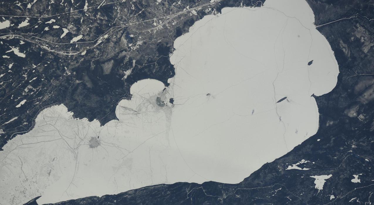 Космонавты с борта МКС наблюдают за лесными экосистемами