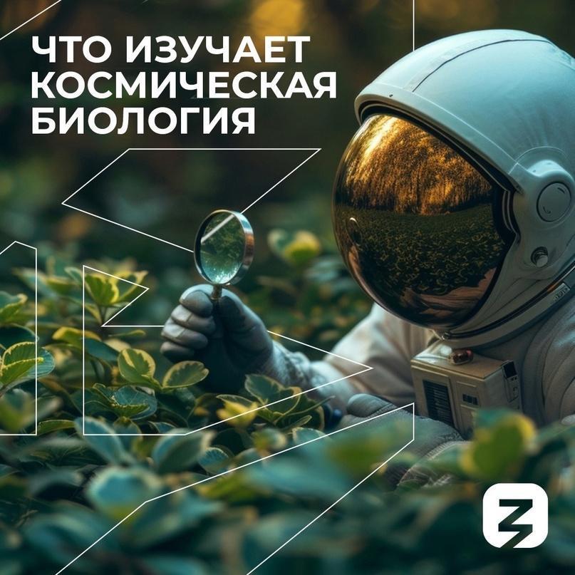 Космическая биология изучает взаимодействие живых организмов с космическим пространством