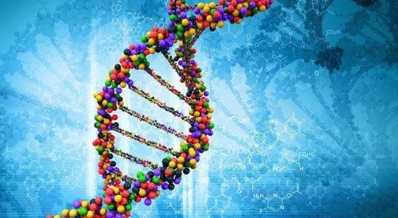 Мнение врача- космическое излучение негативно влияет на ДНК